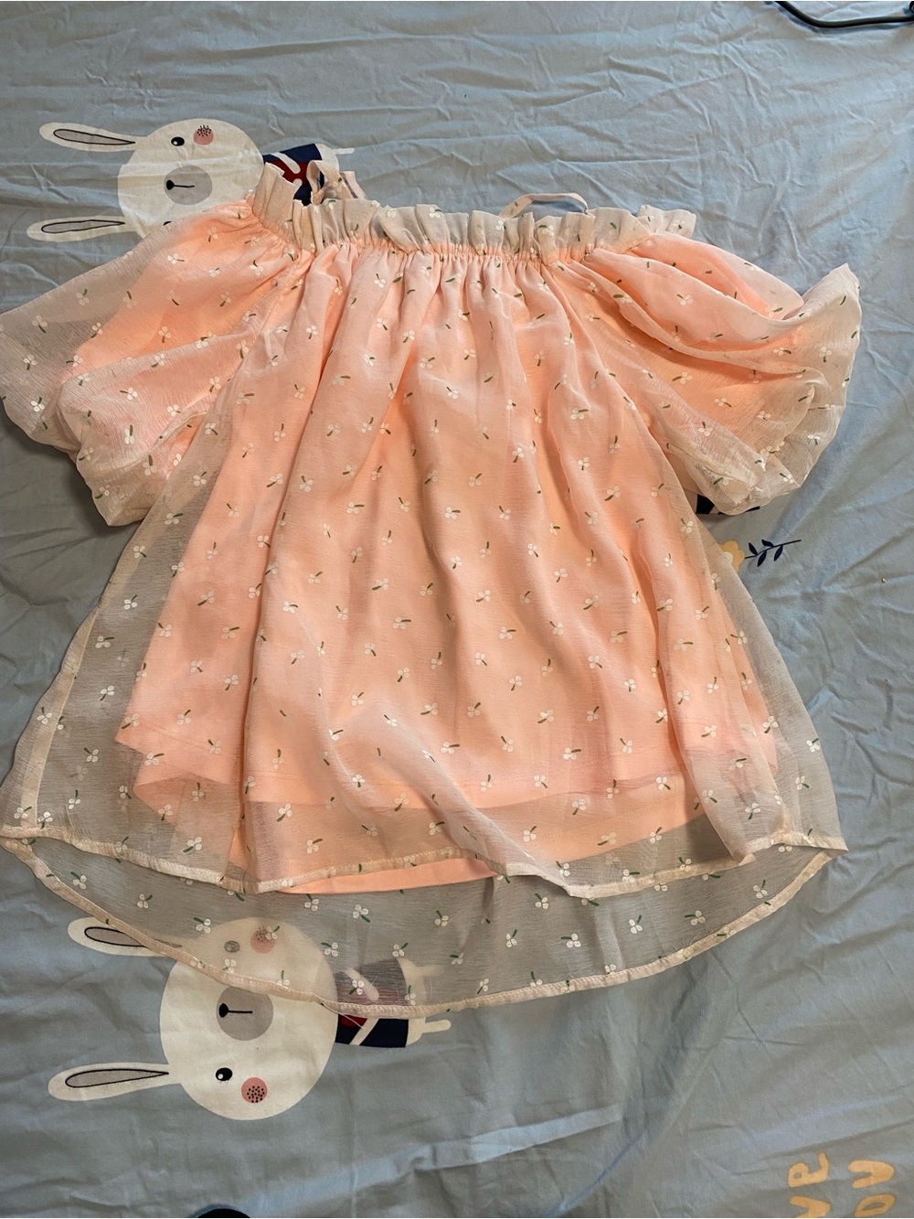 Peach Off-Shoulder Sheer Dot-Overlay Blouse